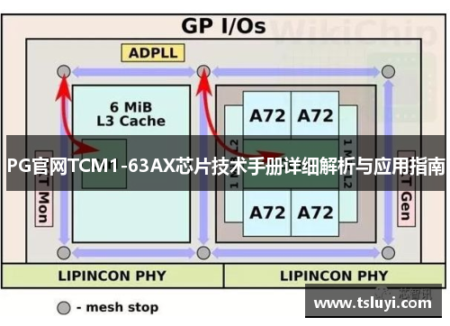 PG官网TCM1-63AX芯片技术手册详细解析与应用指南