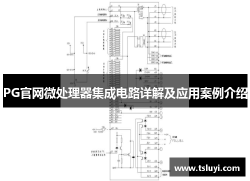 PG官网微处理器集成电路详解及应用案例介绍